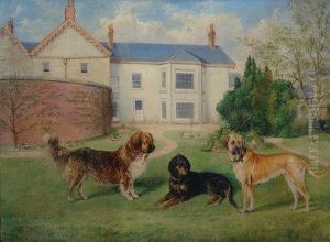 Three English Prize Winning Dogs On A Lawn In Front Of Country House. A Gordon Setter, A Mastiff And A St. Bernard. by Edwin Frederick Holt