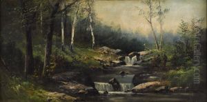 Mountain Stream Mountain Stream
