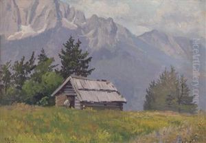 Mountain Hut On The Waucha Alm, Krain