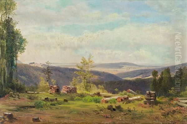 Waldlichtung - view 1