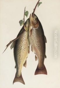 Two Brown Trout by William H. Jobbins