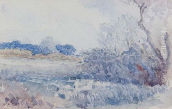 Wooded Landscape - view 1