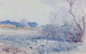 Wooded Landscape