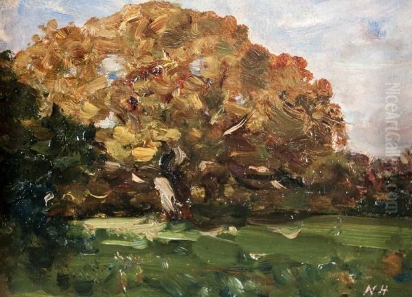 Tree In A Landscape - view 1