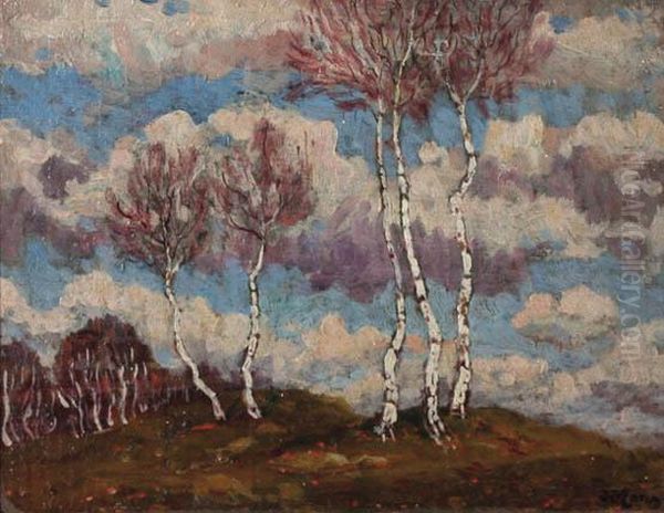 Birch Trees - view 1