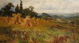 Harvest Time, Near Godalming, Surrey