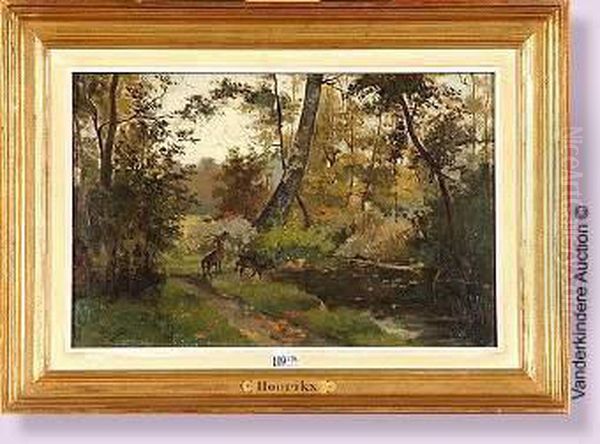 Cerf Et Biche Au Bord Du Ruisseau En Foret - view 1