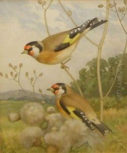 Goldfinches On Thistles