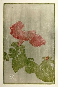 Petunia by Edna Boies Hopkins
