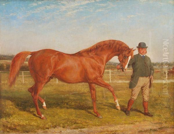 Horse And Trainer In A Paddock - view 1