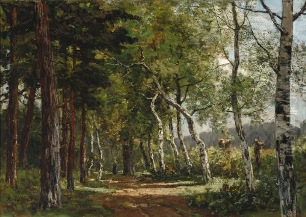 Forest Track Nearubbergen - view 1