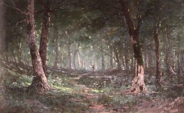Forrest Interior - view 1