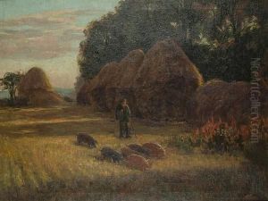 A Farmer Driving Pigs Through A Field With Hay Ricks