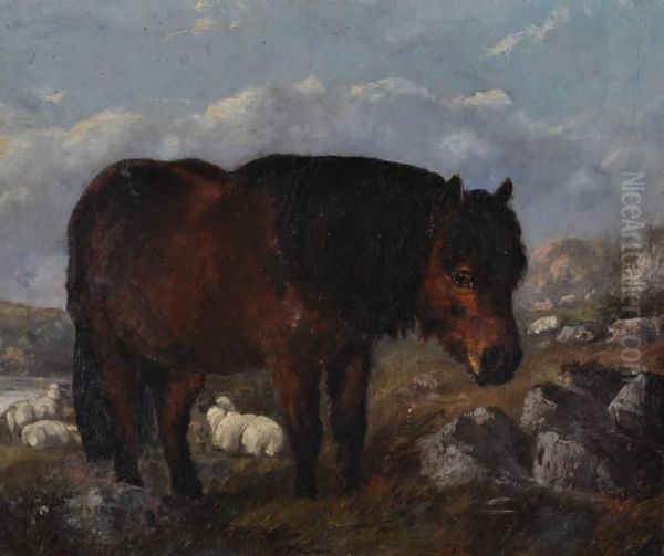 A Fell Pony - view 1