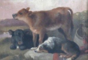 Calves And A Collie