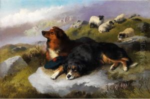 Zwei Schottische Hirtenhunde Zwei Schottische Hirtenhunde