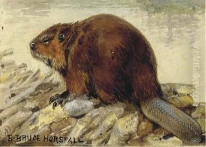 Raccoon; Also A Companion Watercolor Of A Beaver Raccoon; Also A Companion Watercolor Of A Beaver