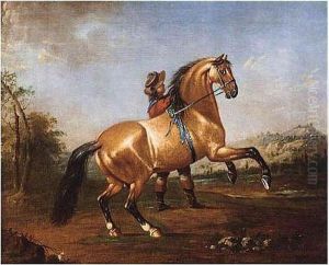 A Horse Being Schooled By A Groom