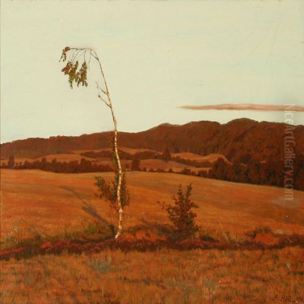 Moor Landscape - view 1