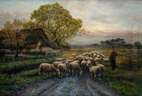 Schapenkudde Voor De Hoeve - view 1