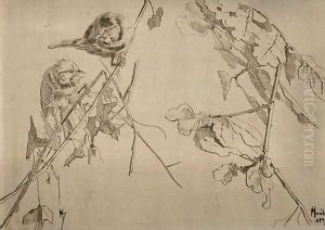 Oiseaux Sur La Branche
