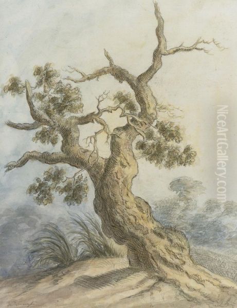 A Tree - view 1