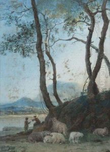 Bergers Et Troupeau Dans Un Paysage
