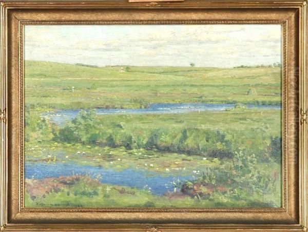 A Danish Summer Landscape - view 1