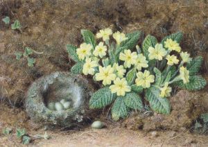 Still Life Of A Bird's Nest And Primroses On A Mossy Bank by William Hough