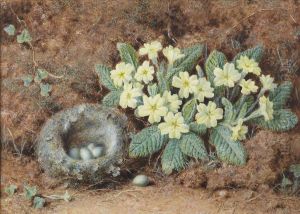 Primroses And Bird's Nest On A Mossy Bank by William Hough