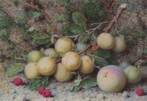 Still Life With Peaches And Raspberries On A Bank by William Hough
