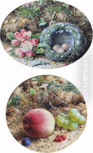 Spring Blossom And A Bird's Nest; A Peach,green Grapes, Redcurrants And A Damson