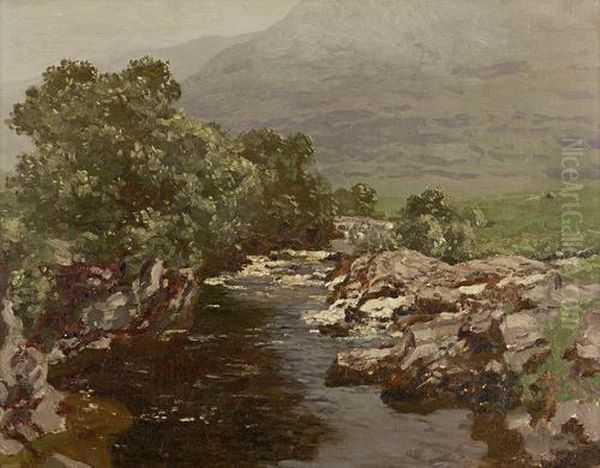 An Ayrshire Burn - view 1