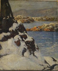 Rocky Coast In Winter