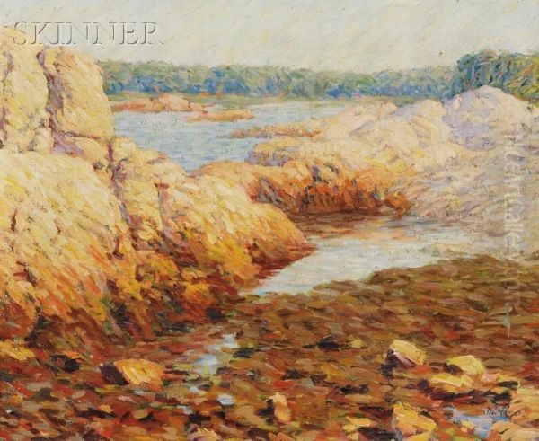 Rocky Coastal View - view 1