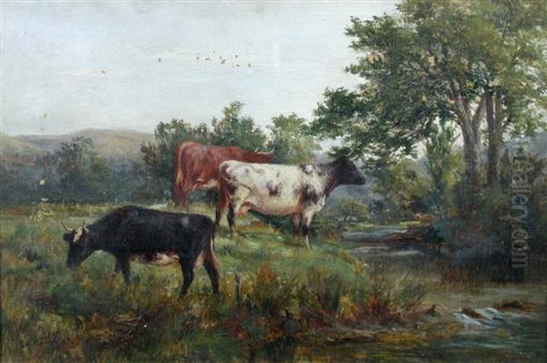 Cattle Grazing By A River Bank - view 1