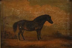 Horse Portrait Before Mountains Horse Portrait Before Mountains