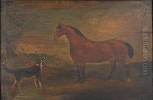 Portraits Of A Horse And Collie by James Howe