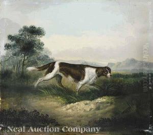 Flora: English Setter by James Howe
