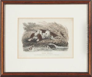 Spaniels: Two Plates by Samuel Howitt