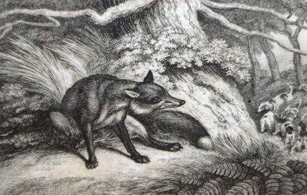 A Pack Of Hounds On The Scent Of A Fox - view 1