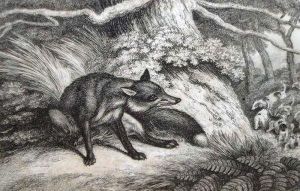 A Pack Of Hounds On The Scent Of A Fox by Samuel Howitt