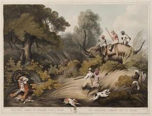 Shooters Coming By Surprise Upon A Tiger