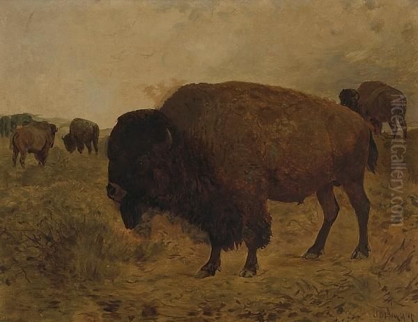 Grazing Bison - view 1