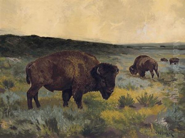 The American Buffalo - view 1