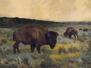 The American Buffalo by John Dare Howland