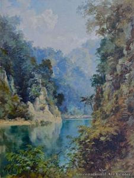 Wanganui River - view 1