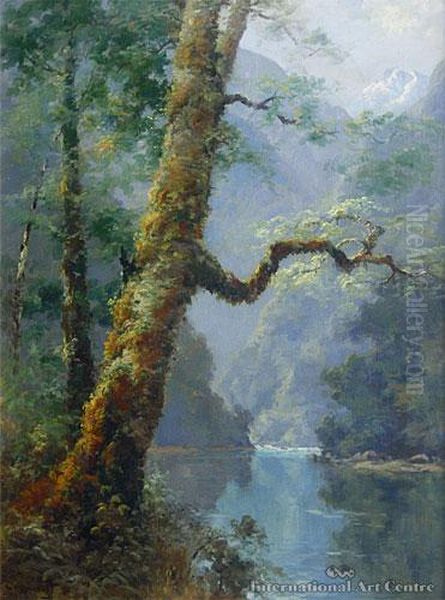 Clinton River Fiordland - view 1