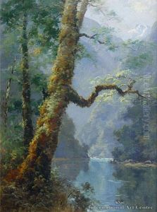 Clinton River Fiordland