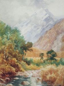 Mt Cook